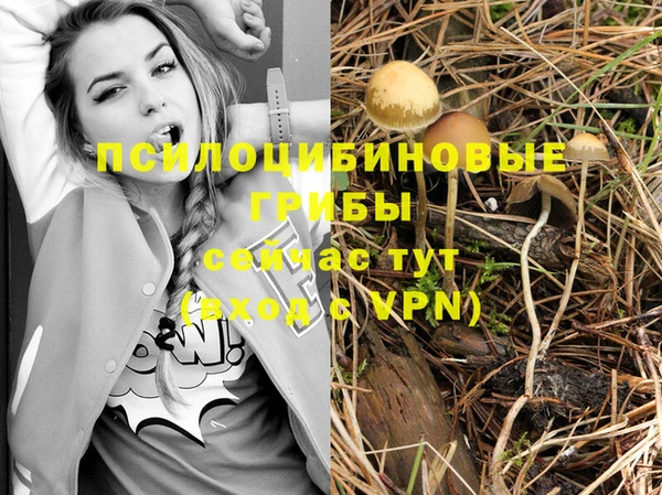 стаф Заволжье