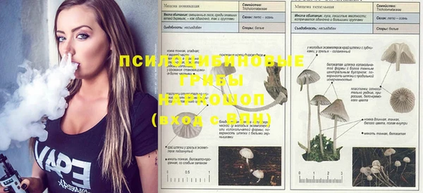 PSILOCYBIN Заволжск