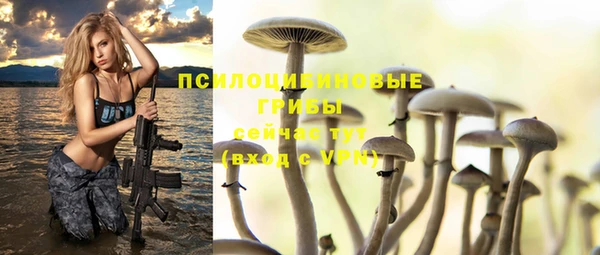 стаф Заволжье