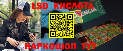 2c-b Камышлов