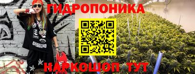 индика Балахна