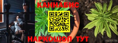 индика Балахна