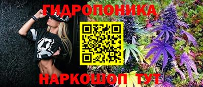 2c-b Камышлов