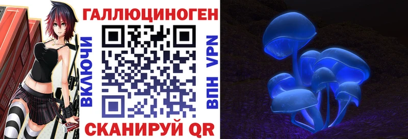 Псилоцибиновые грибы мицелий  маркетплейс Telegram  Спасск-Дальний 
