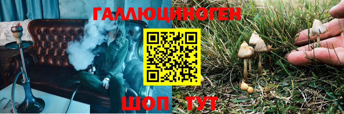 Псилоцибиновые грибы прущие грибы  Галлюциногенные грибы MAGIC MUSHROOMS  Спасск-Дальний 