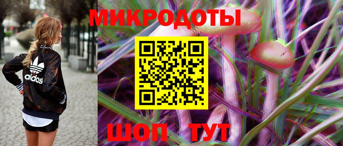 Спасск-Дальний  Галлюциногенные грибы мухоморы  Вход с VPN  Псилоцибиновые грибы Psilocybe 