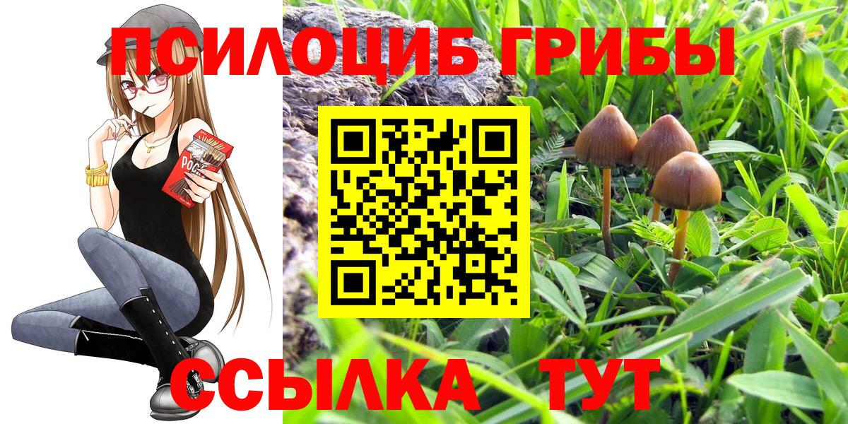 Псилоцибиновые грибы Cubensis Спасск-Дальний